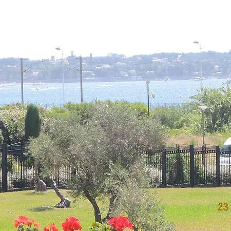Les Pins Bleus - Antibes Les Pins Apartamento