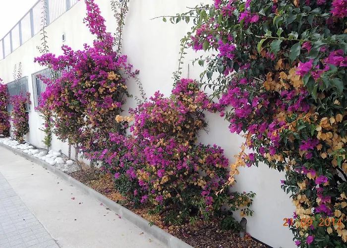 Les Pins Bleus - Antibes Les Pins